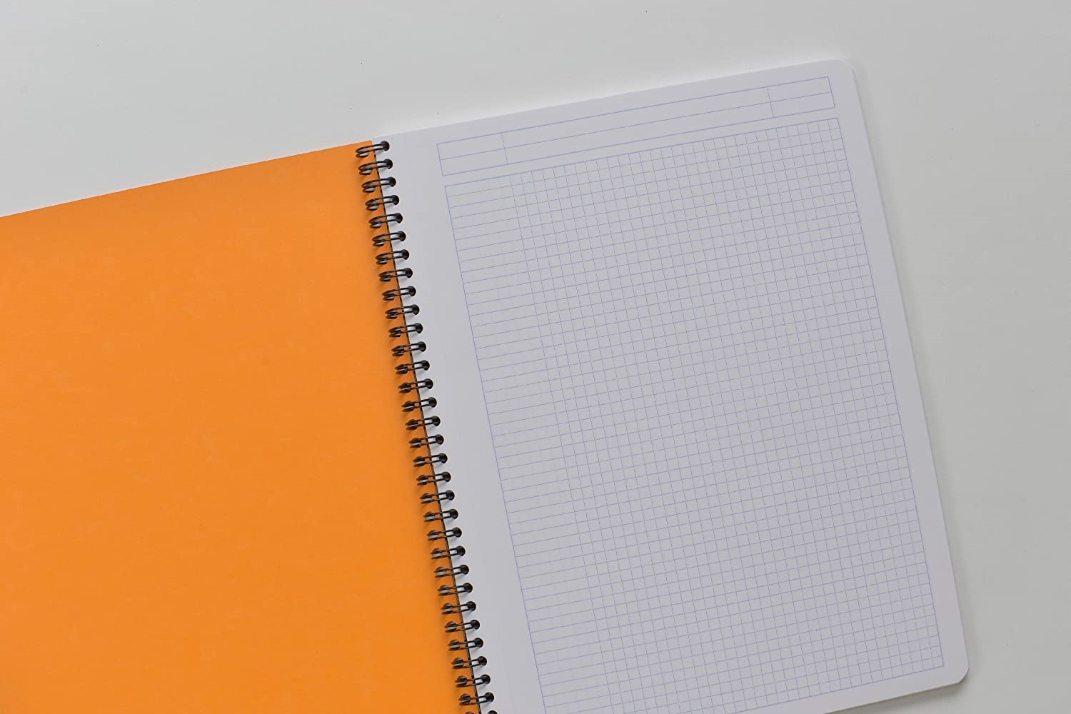 Rhodia Graph Notebook 9 X 11 3/4